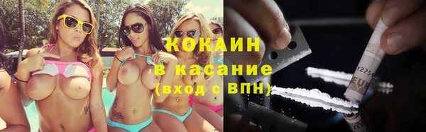 бошки Алексин